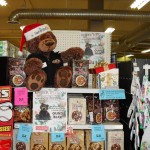 christmas-train-promotion.jpg